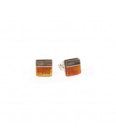 Studs made of amber, wood on silver.